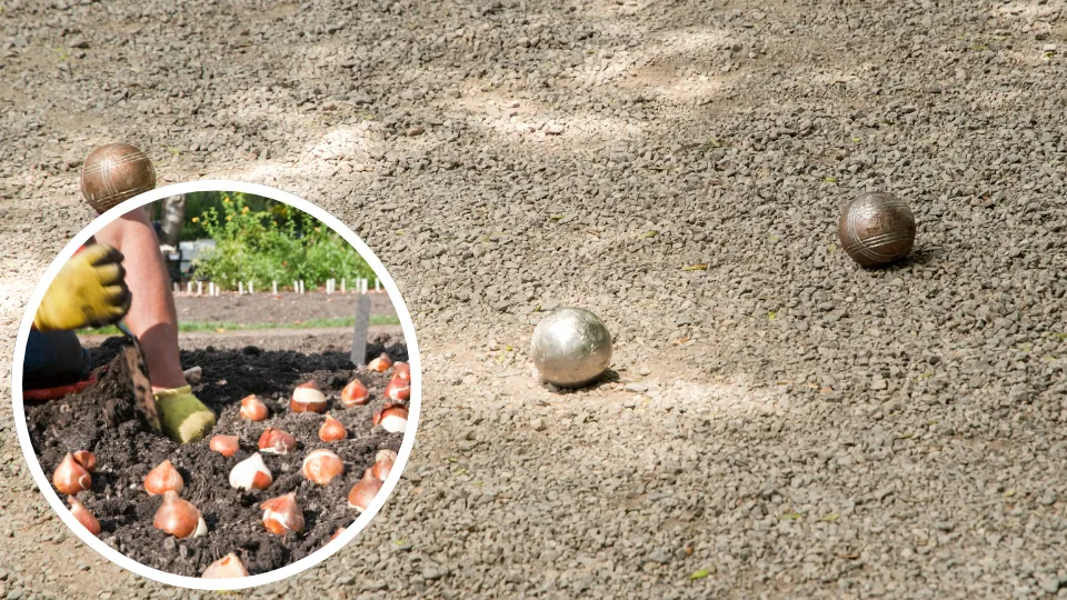 Buurtvereniging Noorder-es - Agenda - Jeu de Boules & Bloembollen poten